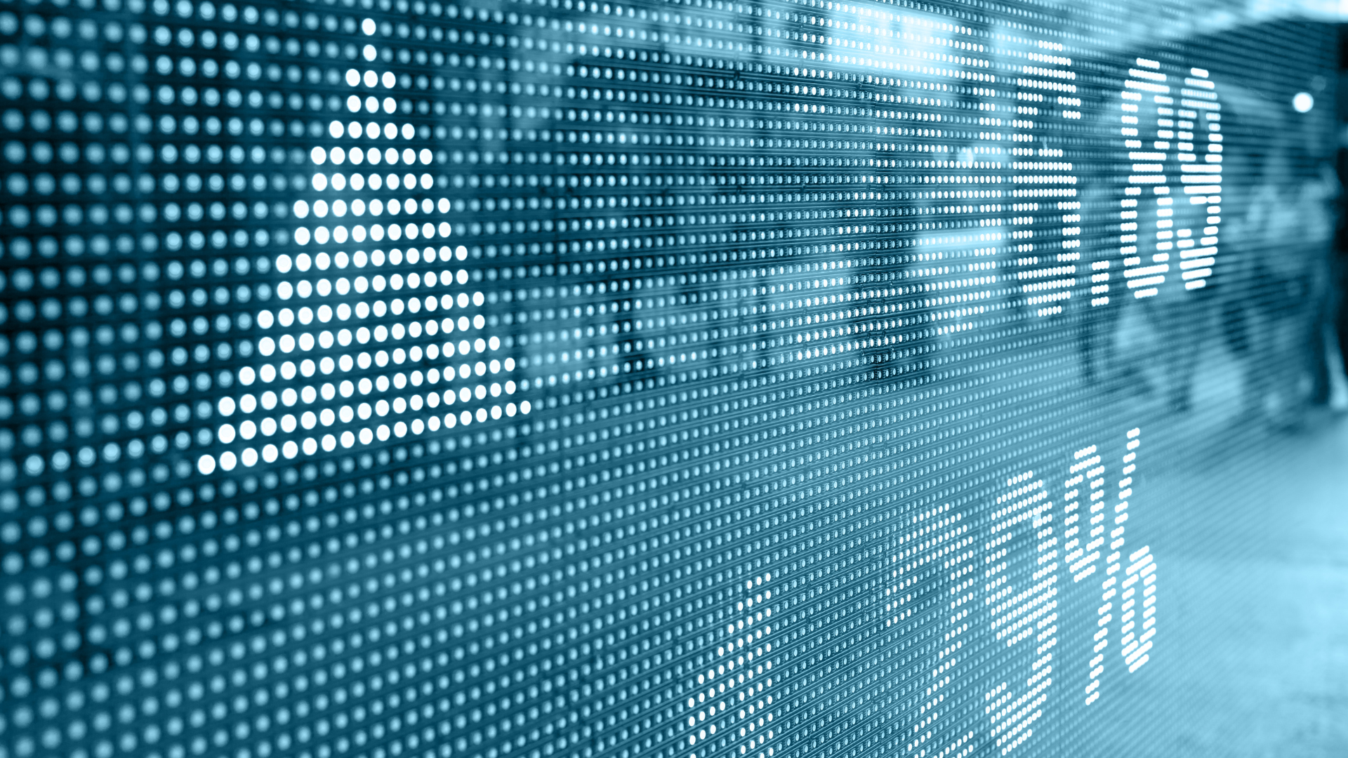 Should You Diversify Beyond the Stock Market